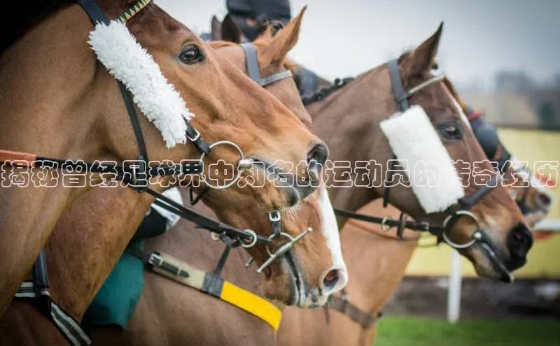 威廉希尔手机版登录入口小红书揭秘曾经足球界中知名的运动员的传奇经历