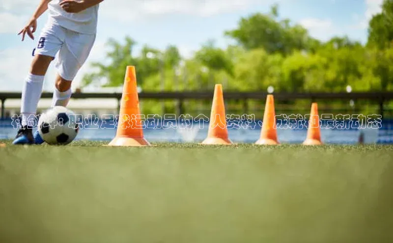 威廉希尔体育在线平台百度集团林剑坤: 职业足球运动员的个人资料、成就和最新动态