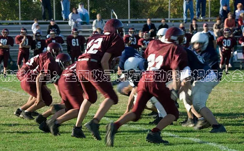 williamhill官网app观星盘精彩纷呈：全面收录所有运动赛事视频大全