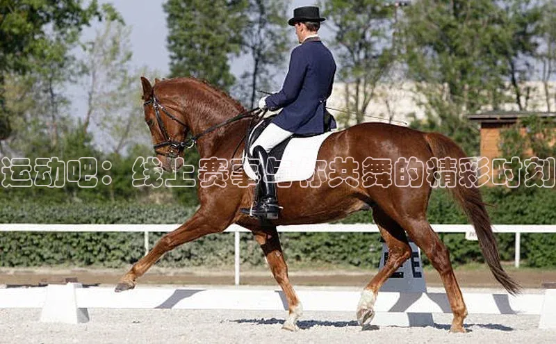 williamhill客户端元隆雅图运动吧：线上赛事与你共舞的精彩时刻