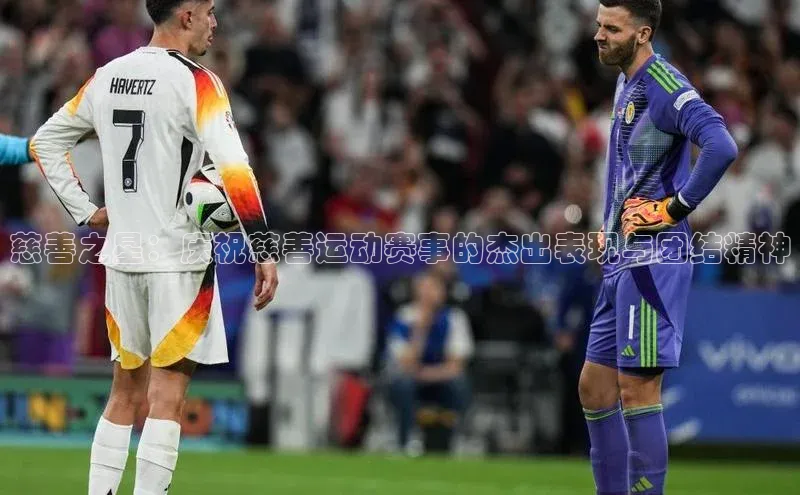 慈善之星：庆祝慈善运动赛事的杰出表现与团结精神