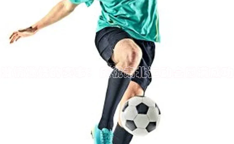 激情燃烧的赛事：庆祝肃北运动会圆满成功