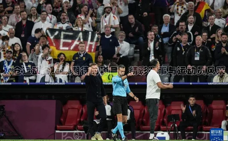 太仓运动会上最期待的项目：精彩赛事与运动员风采