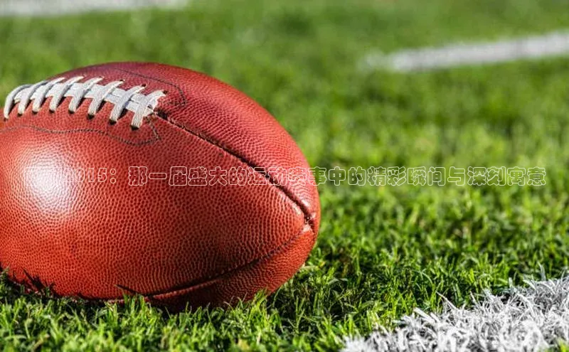 回顾2015：那一届盛大的运动赛事中的精彩瞬间与深刻寓意