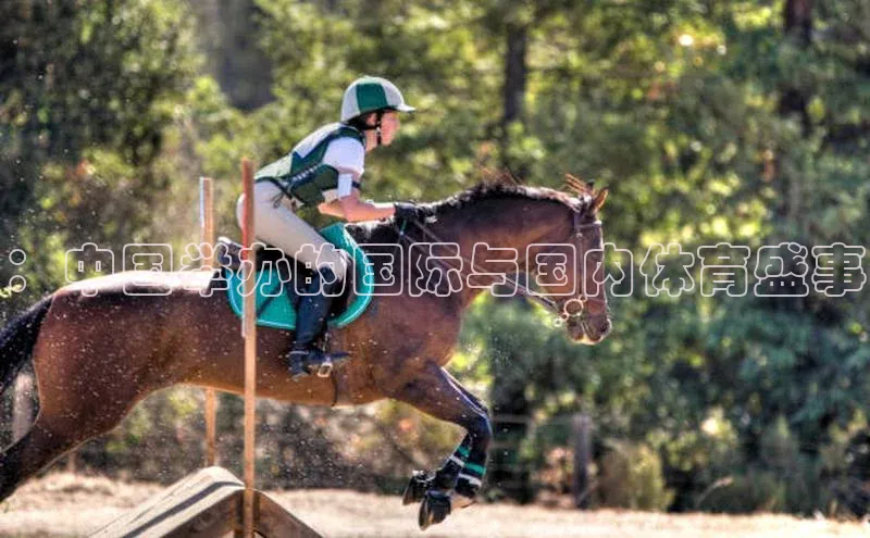 ：中国举办的国际与国内体育盛事