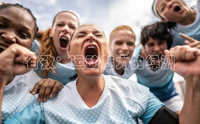 威廉希尔足球网