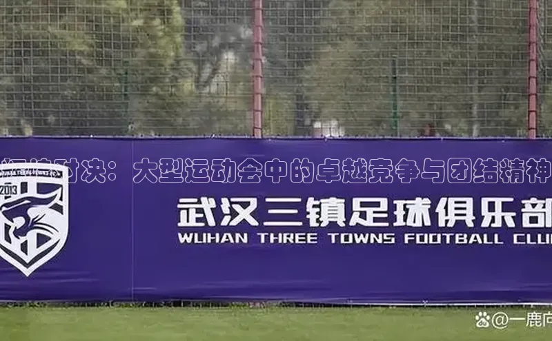 辉煌对决：大型运动会中的卓越竞争与团结精神